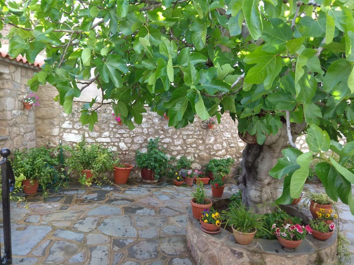 Apartamentos Rurales Tia Maria Mata de Alcántara Kültér fotó